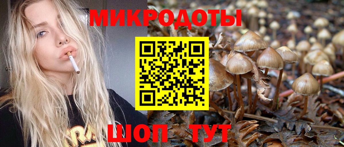 Ялта  Псилоцибиновые грибы мухоморы  Вход с VPN 