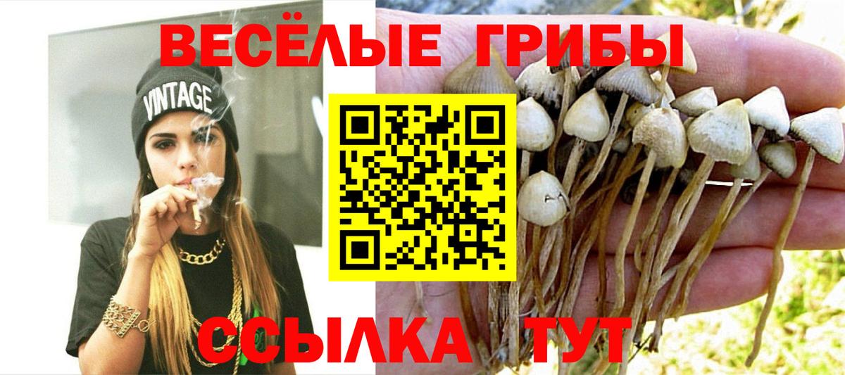Псилоцибиновые грибы мухоморы Ялта